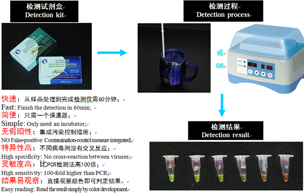 QQ图片20160817180638.png QQ图片20160817180638.png