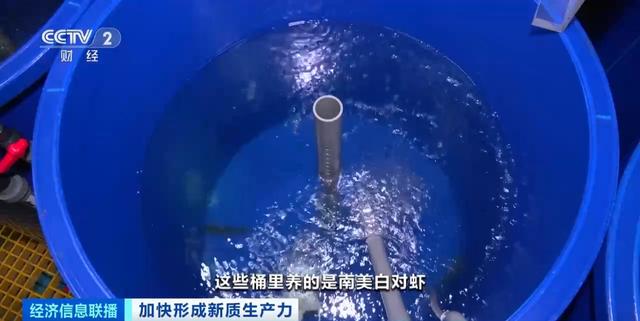 https://pics0.baidu.com/feed/e7cd7b899e510fb3cbf5605a2793ca98d3430cb8.jpeg@f_auto?token=df223e2a6b583e14234f43e55019de17